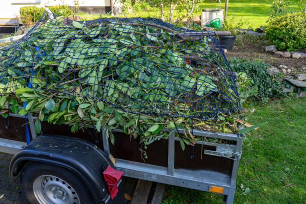 Best Residential Junk Removal  in Mehlville, MO
